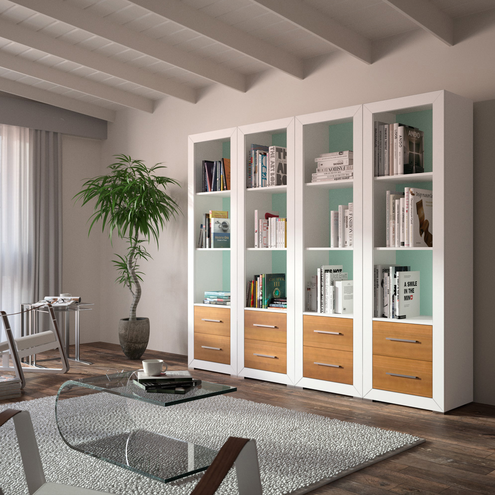 libreria con puertas