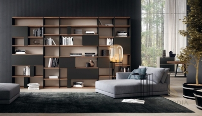 Librería modular laca